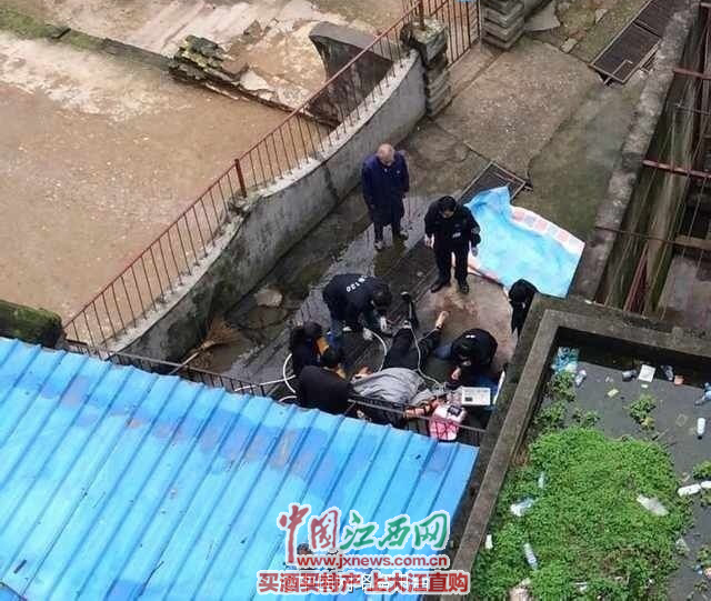 宜春一飼養員被老虎咬死（現場圖片由網友提供）