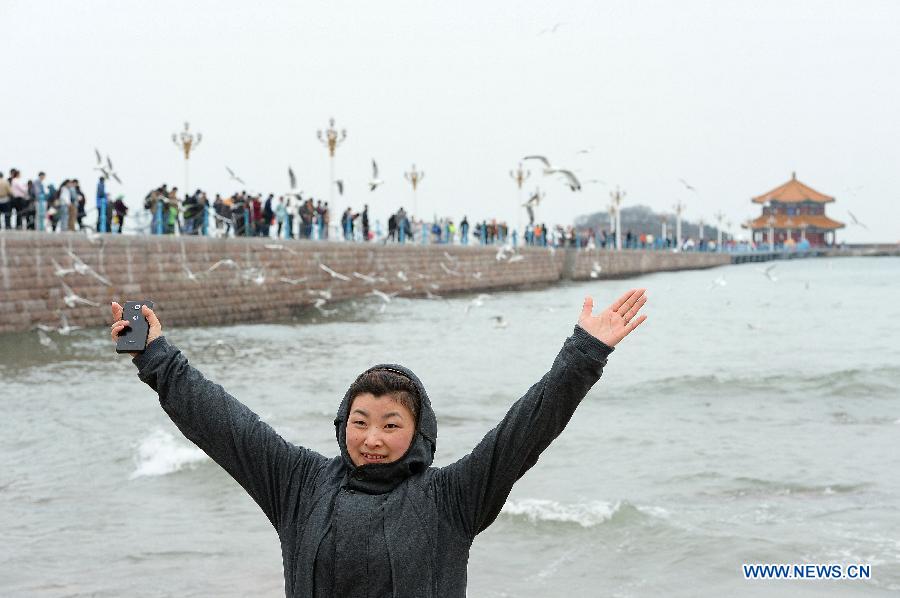 A woman poses for pictures with sea gulls in Qingdao City, east China's Shandong Province, April 6, 2015. Sea gulls here attracted visitors during the Qingming Festival holiday. (Xinhua/Feng Jie)