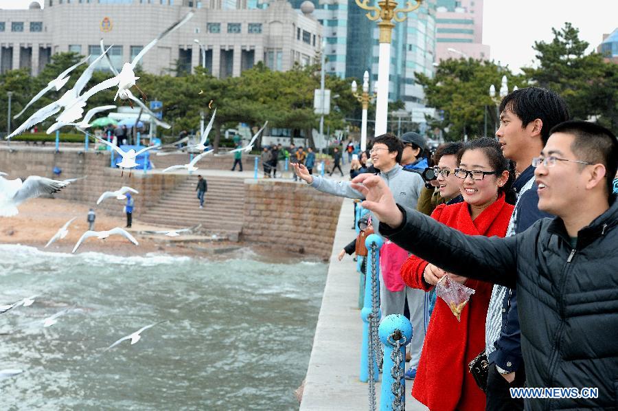 Residents and tourists play with sea gulls in Qingdao City, east China's Shandong Province, April 6, 2015. Sea gulls here attracted visitors during the Qingming Festival holiday. (Xinhua/Feng Jie)