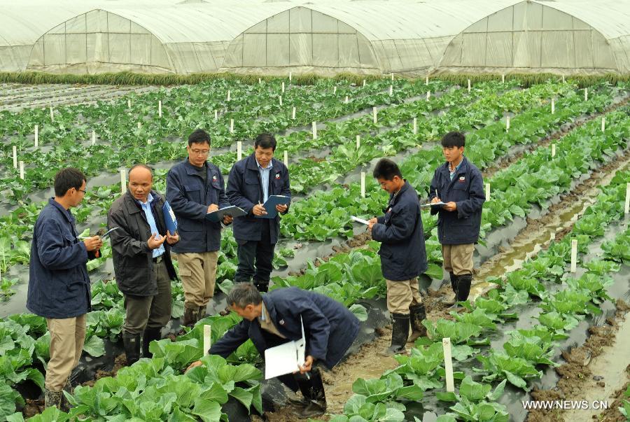 Eastern regions of China have entered a farming season.