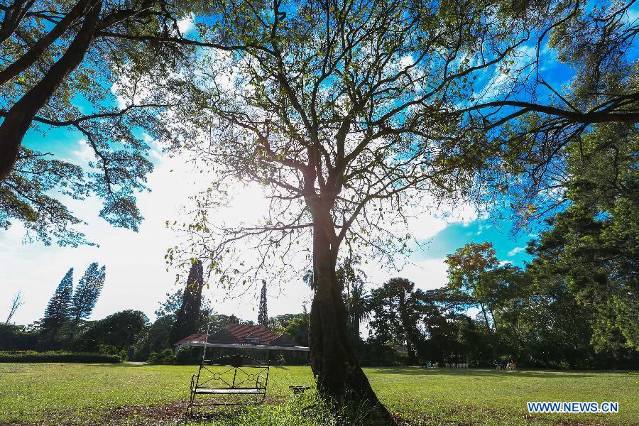 A garden of Karen Blixen house museum is seen in the suburb of Nairobi, Kenya, on May 17, 2015.