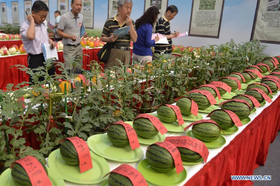 Judges evaluate the sweetness of watermelons during the 27th Daxing Watermelon Festival in Panggezhuang Township of Daxing District of Beijing, capital of China, May 25, 2015. (Xinhua/Gao Jianjun) 