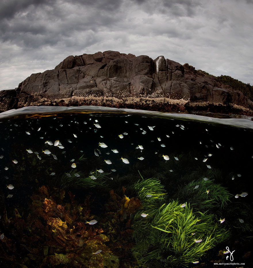 攝影師記錄水波下的世界