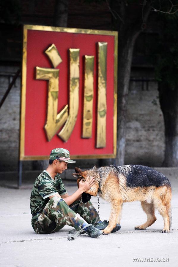 CHINA-HEILONGJIANG-HARBIN-POLICE DOG (CN)