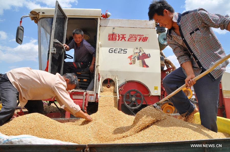 Local villagers harvest wheat in Boliugu Village of Qiuxian County, north China's Hebei Province, June 14, 2015. 