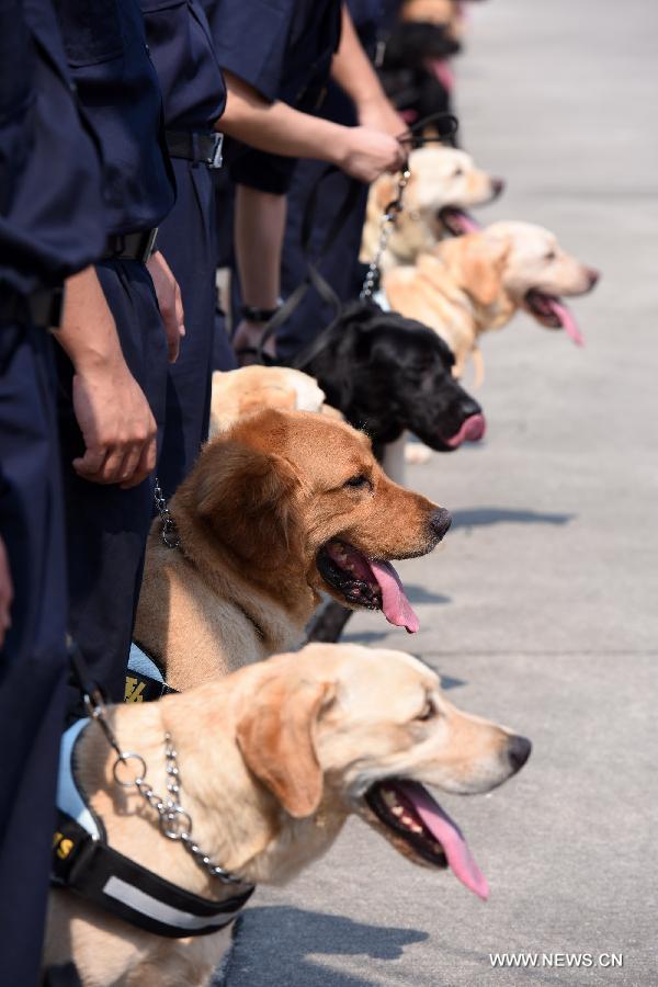 Photo taken on June 15, 2015 shows sniffer dogs at a launching ceremony of an anti-drugs campaign in Guangzhou, capital of south China's Guangdong Province. 