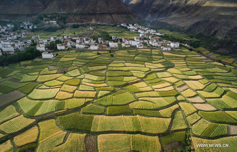 CHINA-SICHUAN-XIANGCHENG-COUNTRYSIDE SCENERY (CN)