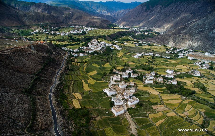 CHINA-SICHUAN-XIANGCHENG-COUNTRYSIDE SCENERY (CN)