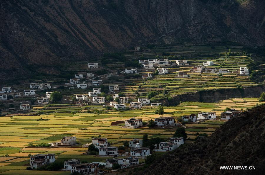 CHINA-SICHUAN-XIANGCHENG-COUNTRYSIDE SCENERY (CN)
