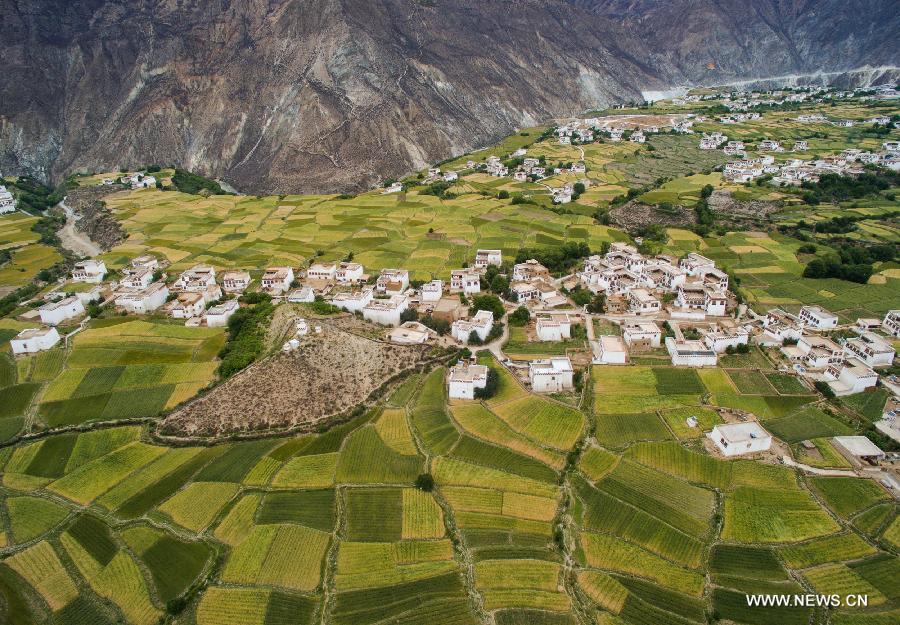 CHINA-SICHUAN-XIANGCHENG-COUNTRYSIDE SCENERY (CN)