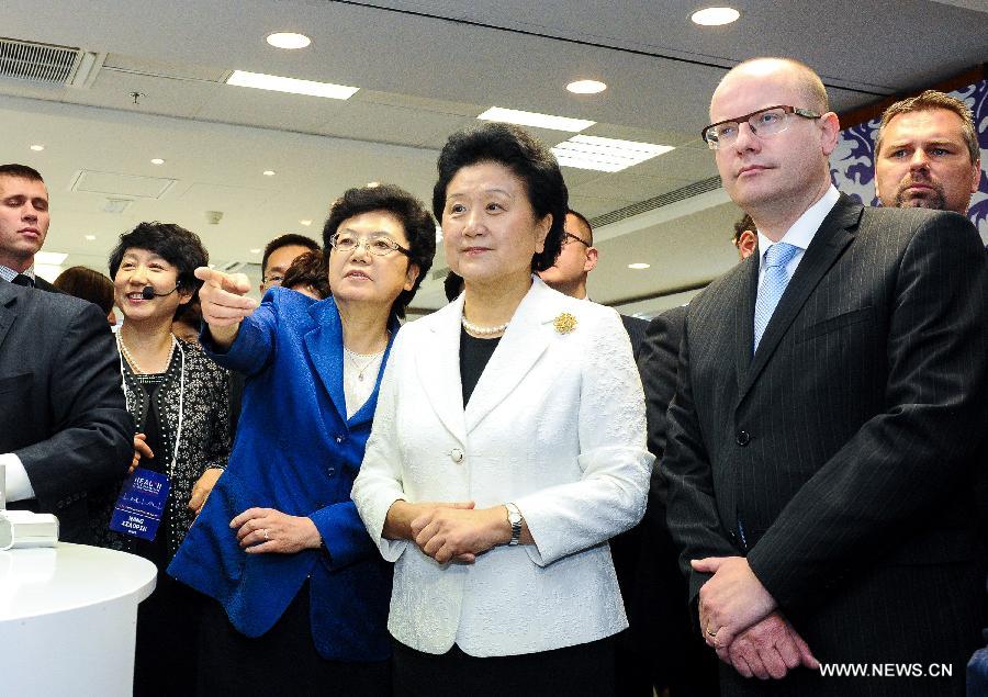 CZECH-PRAGUE-HEALTH MINISTER FORUM-LIU YANDONG