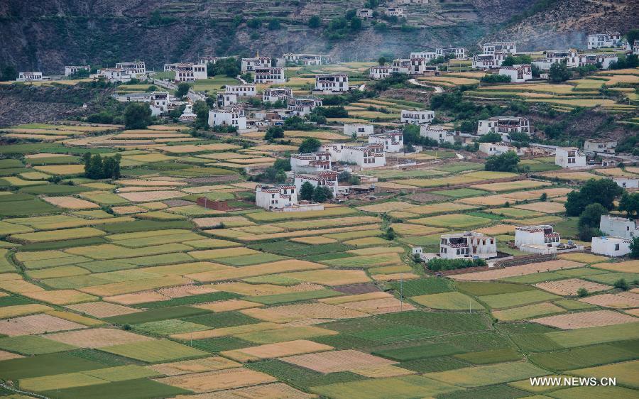 CHINA-SICHUAN-XIANGCHENG-COUNTRYSIDE SCENERY (CN)