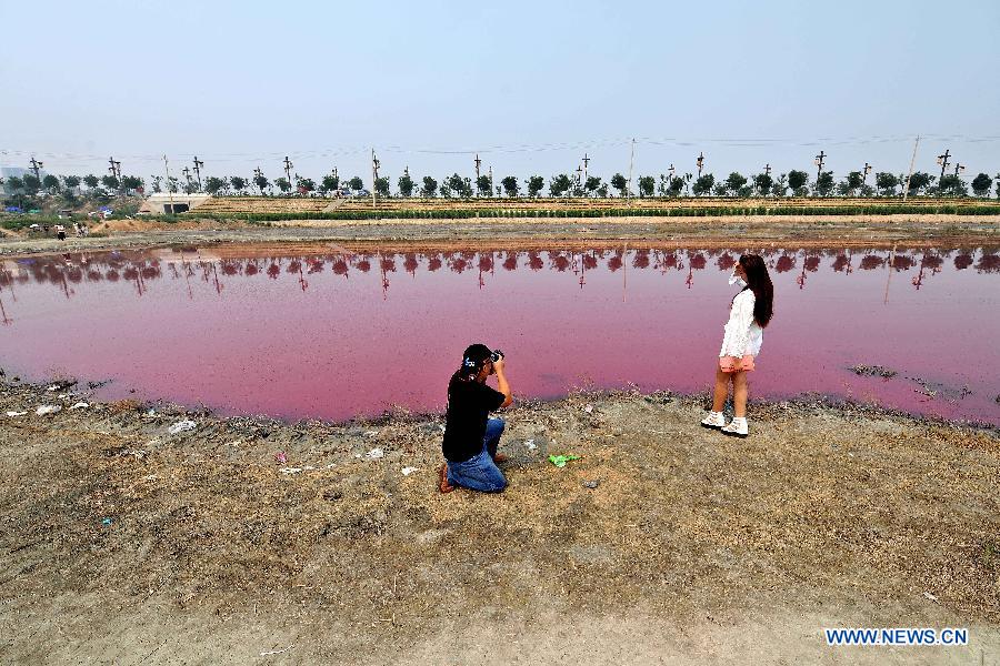 CHINA-SHANXI-YUNCHENG-PINK LAKE (CN)