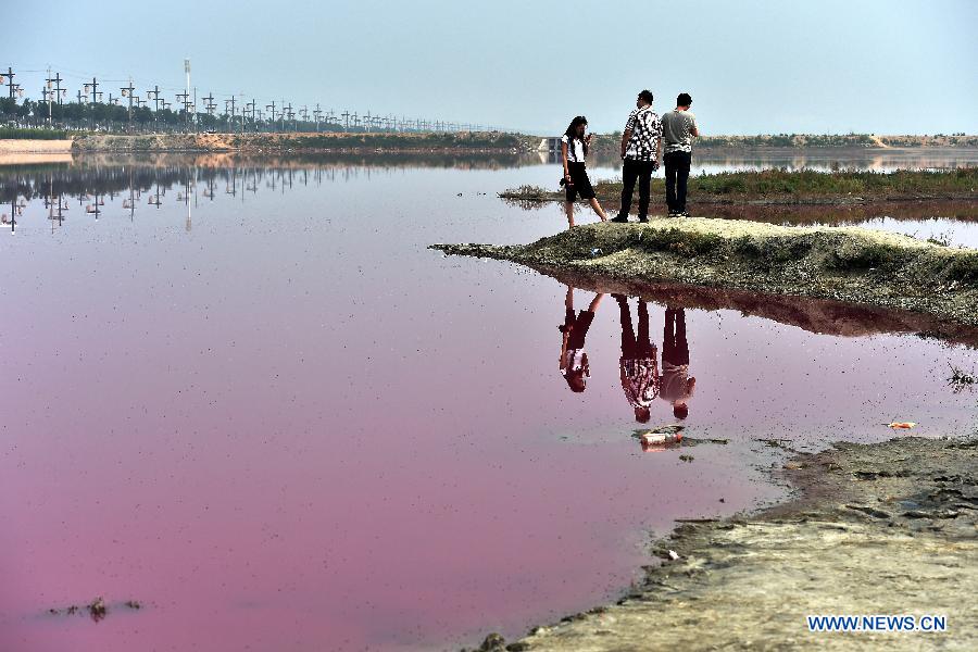 CHINA-SHANXI-YUNCHENG-PINK LAKE (CN)