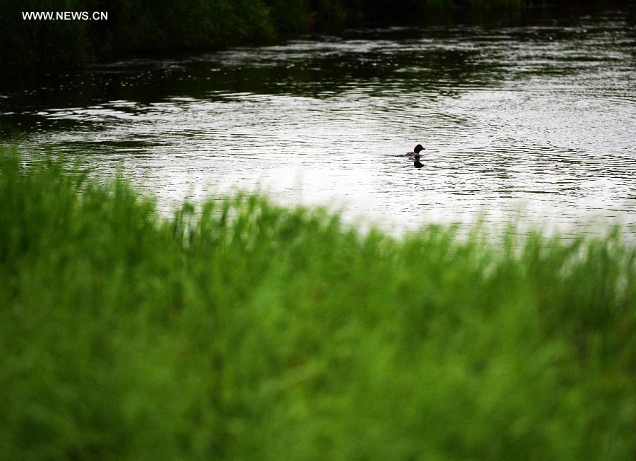 CHINA-HEILONGJIANG-NANWENG RIVER-NATIONAL NATURE RESERVE(CN)