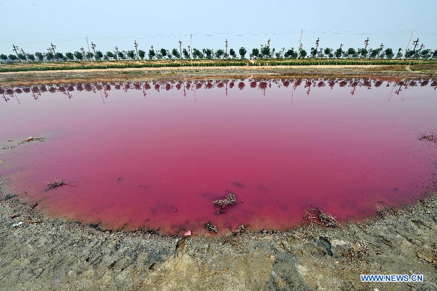 CHINA-SHANXI-YUNCHENG-PINK LAKE (CN)