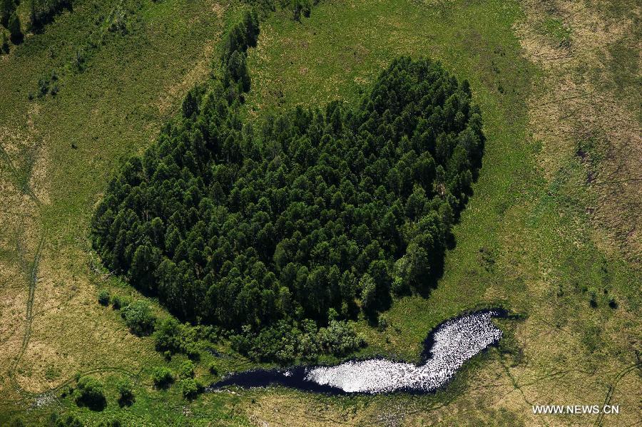 Photo taken on June 18, 2015 shows an aerial view of the Nanwenghe wetland in northeast China's Heilongjiang Province. Nanwenghe Nature Reserve, located in eastern Daxing'anling forest area, is the only protective wetland ecosystems in the cold temperate regions of China. 