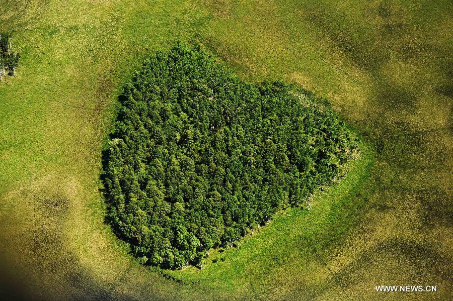 Photo taken on June 18, 2015 shows an aerial view of the Nanwenghe wetland in northeast China's Heilongjiang Province. Nanwenghe Nature Reserve, located in eastern Daxing'anling forest area, is the only protective wetland ecosystems in the cold temperate regions of China. 