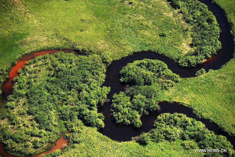 Photo taken on June 18, 2015 shows an aerial view of the Nanwenghe wetland in northeast China's Heilongjiang Province. Nanwenghe Nature Reserve, located in eastern Daxing'anling forest area, is the only protective wetland ecosystems in the cold temperate regions of China. 