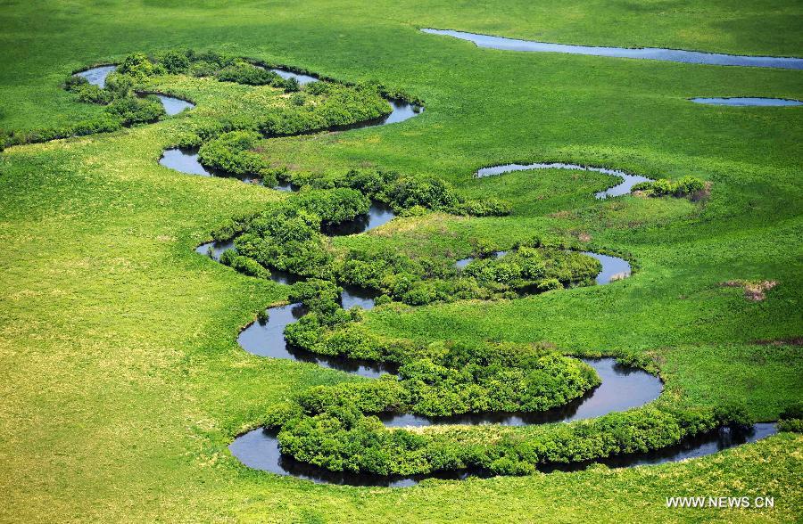 Photo taken on June 18, 2015 shows an aerial view of the Nanwenghe wetland in northeast China's Heilongjiang Province. Nanwenghe Nature Reserve, located in eastern Daxing'anling forest area, is the only protective wetland ecosystems in the cold temperate regions of China.