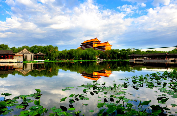 中信国安第一城第十二届荷花节手机微信摄影大