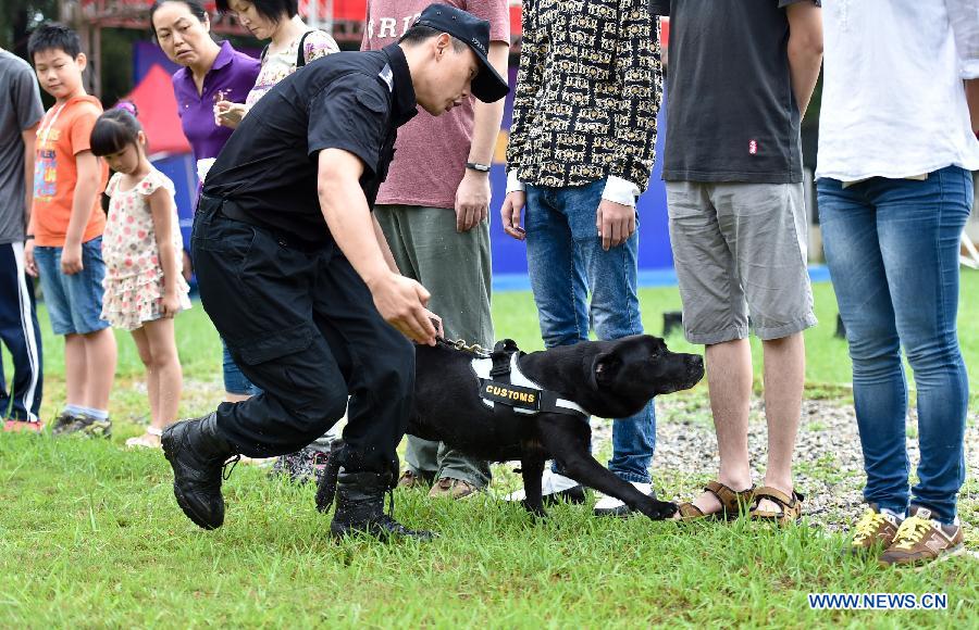 A sniffer dog and its handler make a demonstration.