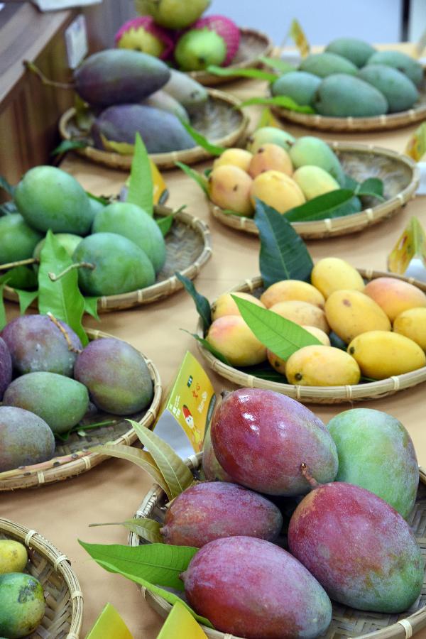 #CHINA-TAIPEI-MANGO FESTIVAL-PRESS CONFERENCE(CN)