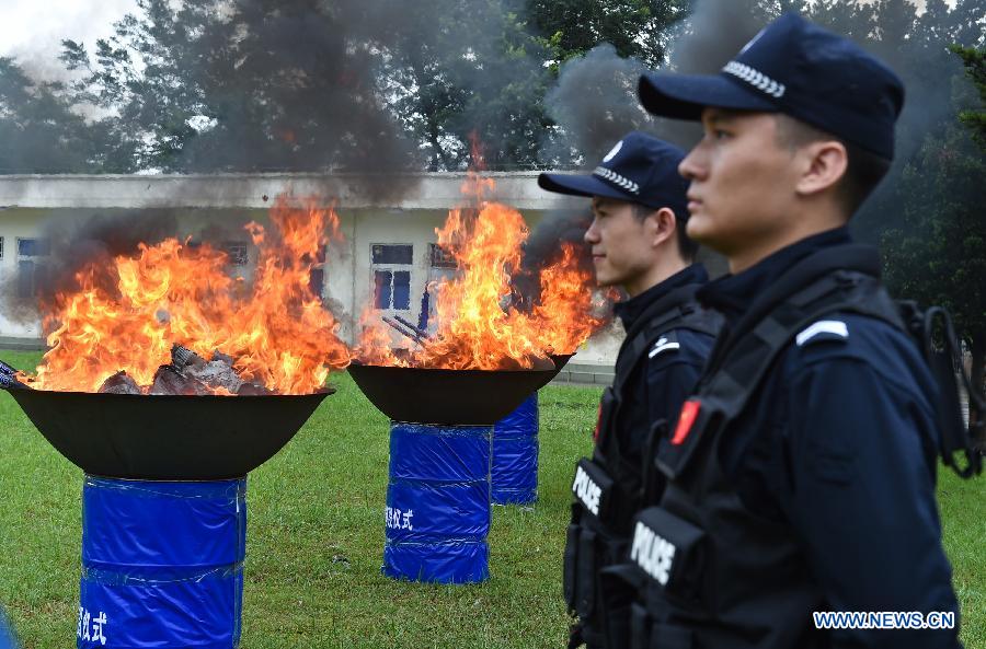 Police officers stand guard beside burning drugs.