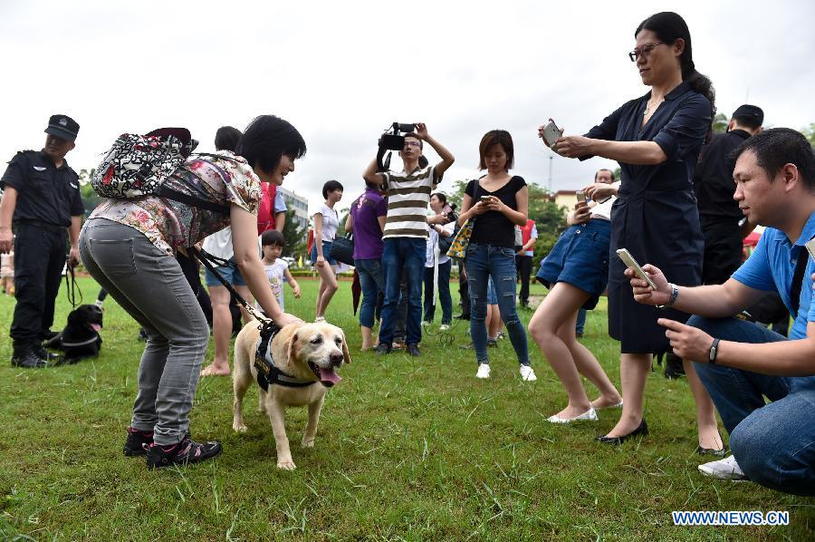 Residents take photos of a sniffer dog.