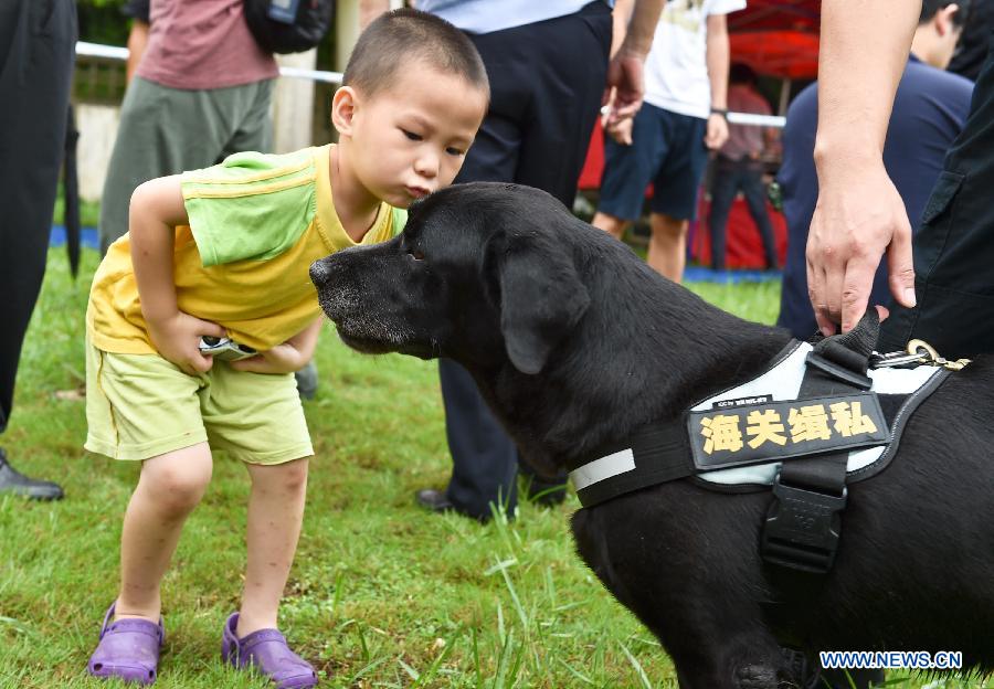 A boy plays with a sniffer dog.