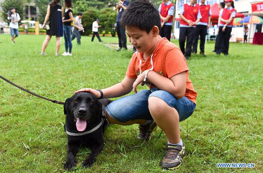 A boy plays with a sniffer dog.