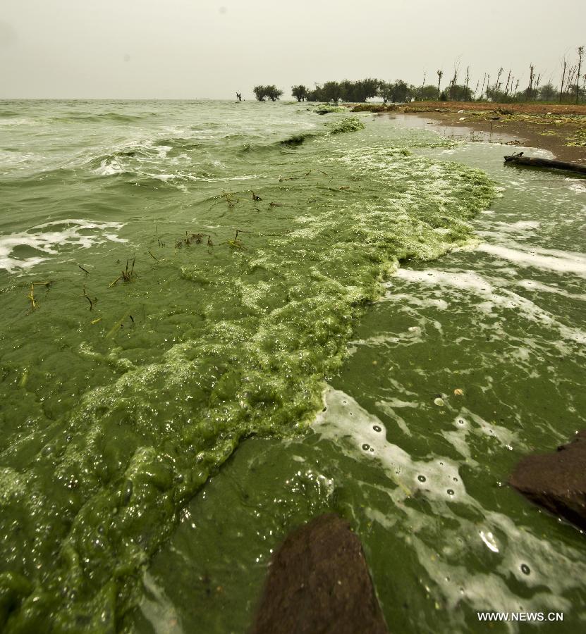 #CHINA-ANHUI-CHAOHU LAKE-BLUE-GREEN ALGAE(CN)