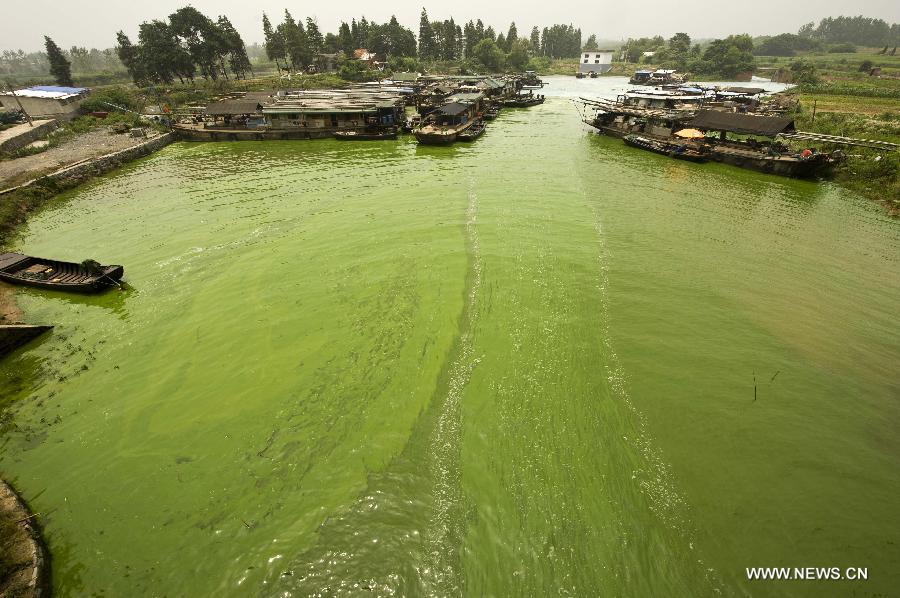 #CHINA-ANHUI-CHAOHU LAKE-BLUE-GREEN ALGAE(CN)