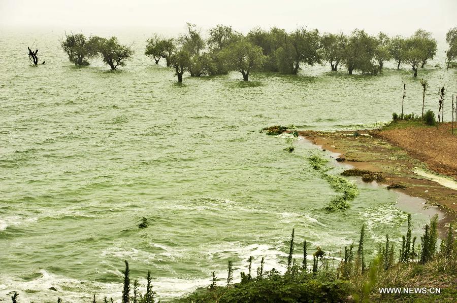 #CHINA-ANHUI-CHAOHU LAKE-BLUE-GREEN ALGAE(CN)