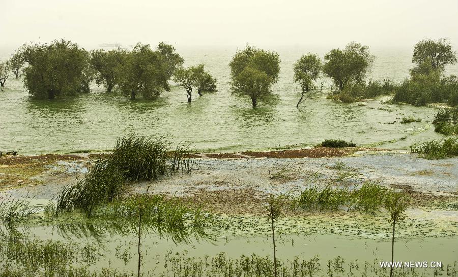 #CHINA-ANHUI-CHAOHU LAKE-BLUE-GREEN ALGAE(CN)