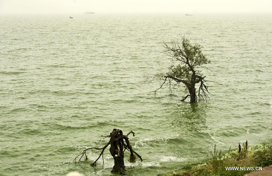 #CHINA-ANHUI-CHAOHU LAKE-BLUE-GREEN ALGAE(CN)