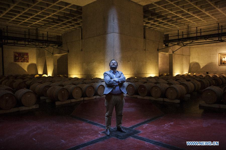 Image taken on June 25, 2015 shows Jose Manuel Ortega Gil-Fournier, president of the O. Fournier Winery, posing in the barrels room located in the basement of the O. Fournier Wineryin, in La Consulta city, Mendoza province, 1,170km away of Buenos Aires city, Argentina. 