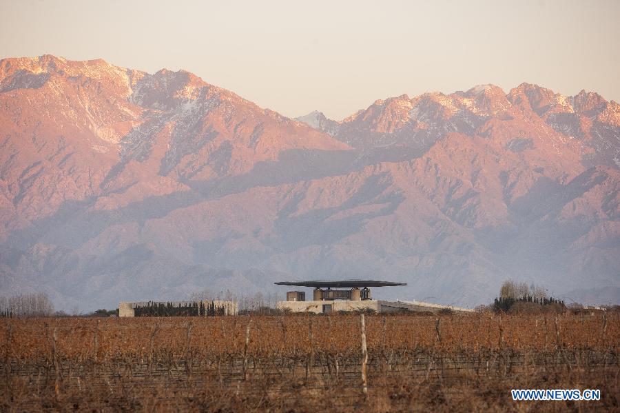 Image taken on June 24, 2015 shows the main building of the O. Fournier Winery, in La Consulta city, Mendoza province, 1,170km away of Buenos Aires city, Argentina.