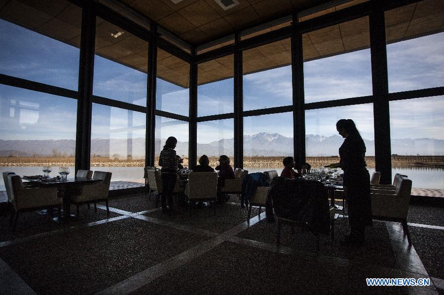 ARGENTINA-MENDOZA-INDUSTRY-WINE-FEATURE