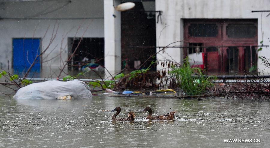 Heavy rainstorms have affected about 65,000 people in the city, causing damages worth over 410 million yuan (about 66 million U.S. dollars). 