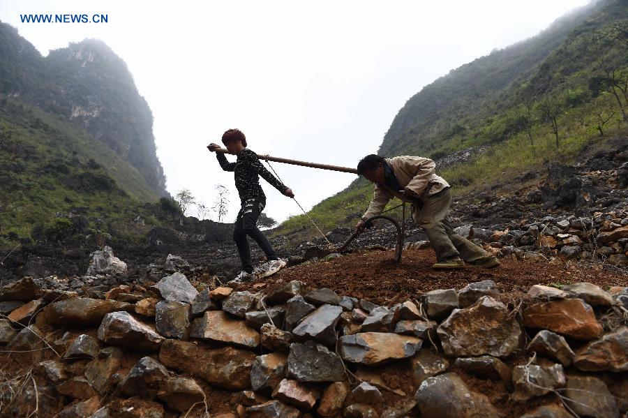 A villager of Nongyong Village ploughes land to plant corns in Dahua Yao Autonomous County, south China's Guangxi Zhuang Autonomous Region, March 7, 2015. 