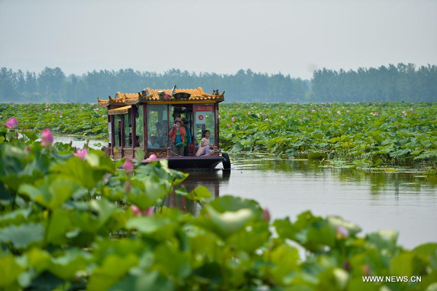 CHINA-HUNAN-LOTUS (CN)