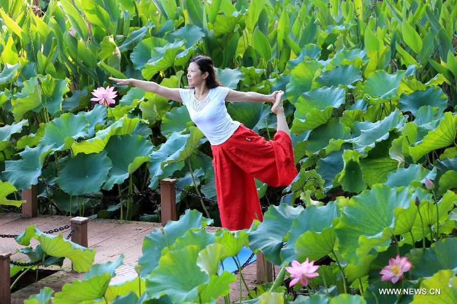 A yoga lover practises yoga beside a lotus pool in Jilingshan Park in Huangshan City, east China's Anhui Province, July 12, 2015