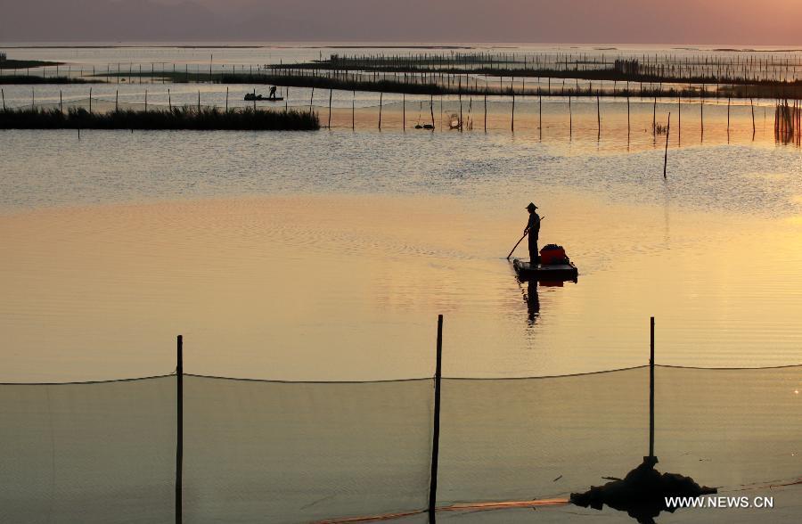 A fisherman works on a shoal used to raise crabs in Wenling, east China's Zhejiang Province, July 12, 2015.