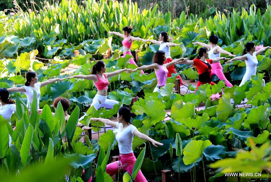 A yoga lover practises yoga beside a lotus pool in Jilingshan Park in Huangshan City, east China's Anhui Province, July 12, 2015