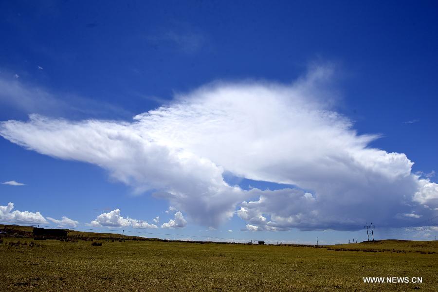 Photo taken on July 15, 2015 shows the scenery of clouds above prairie in Urad Middle Banner of Bayannur City, north China's Inner Mongolia Autonomous Region.