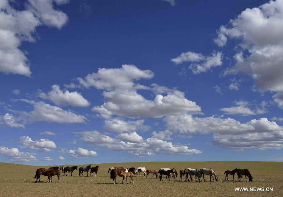 Photo taken on July 15, 2015 shows the scenery of clouds above prairie in Urad Middle Banner of Bayannur City, north China's Inner Mongolia Autonomous Region. 