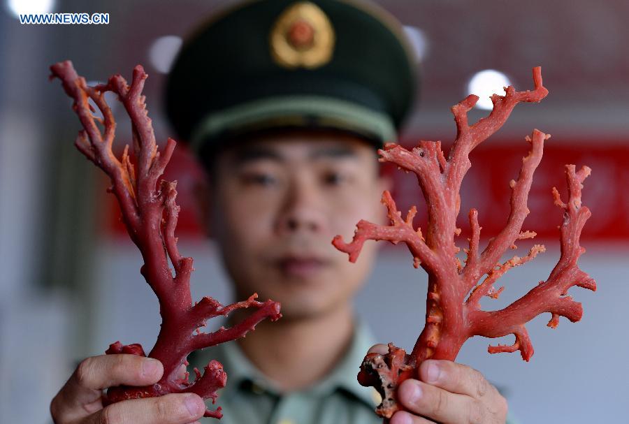 CHINA-FUJIAN-LONGHAI-RED CORAL-ILLEGAL SHIPS(CN)