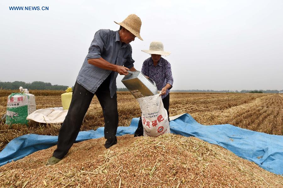 CHINA-HENAN-SUMMER CROPS YIELD-GROWTH (CN)