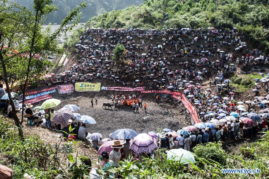 CHINA-GUIZHOU-JIANHE-BULL-FIGHT (CN)